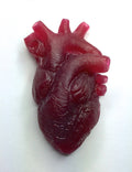 Anatomical Heart Magnet, Translucent Red Resin Sculpture | Gothic Fantasy Decor | Heart Magnet for Fantasy and Gothic Decor