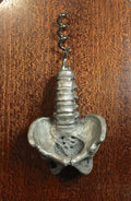 Spine and Pelvis Corkscrew, Hand Painted Resin | Gothic Medical Decor, Anatomy Spinal Cork Screw |Fantasy Gothic Wine and Barware Gift