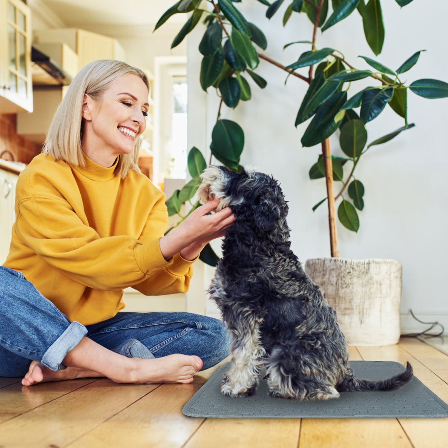 GBruno Washable Dog Pee Pad