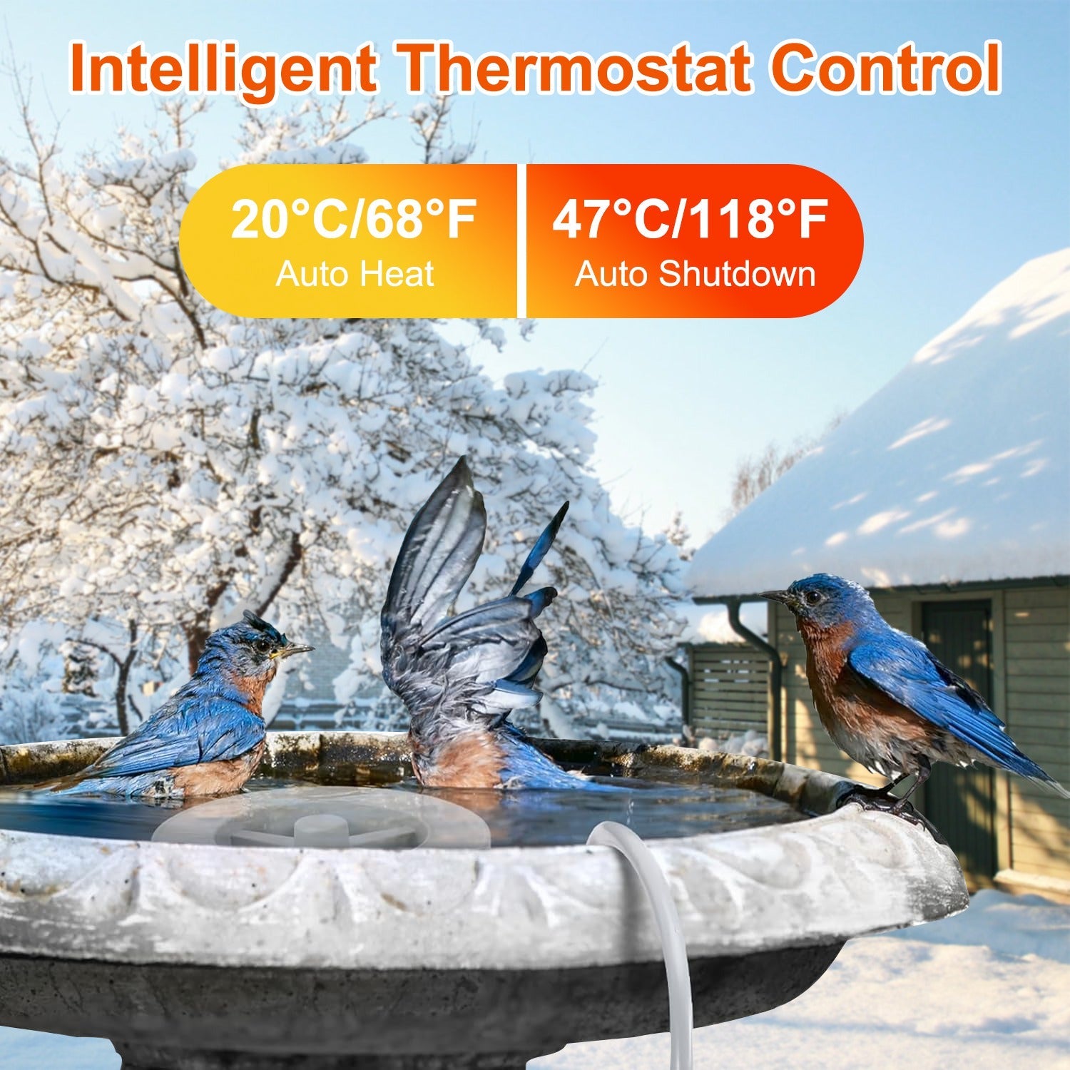 70W Outdoor Bird Bath Heater Winter Deicer with Thermostat, Auto Shutoff & Waterproof Design