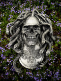 Medusa Skull Wall Plaque, Hand Painted Resin Sculpture | Mythic Gothic Wall Art | Medusa Skull Plaque for Gothic and Fantasy Home Decor, 10"