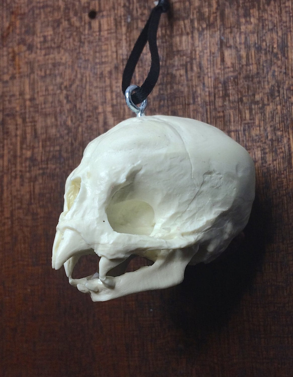 Nosferatu Fetal Skull Ornament