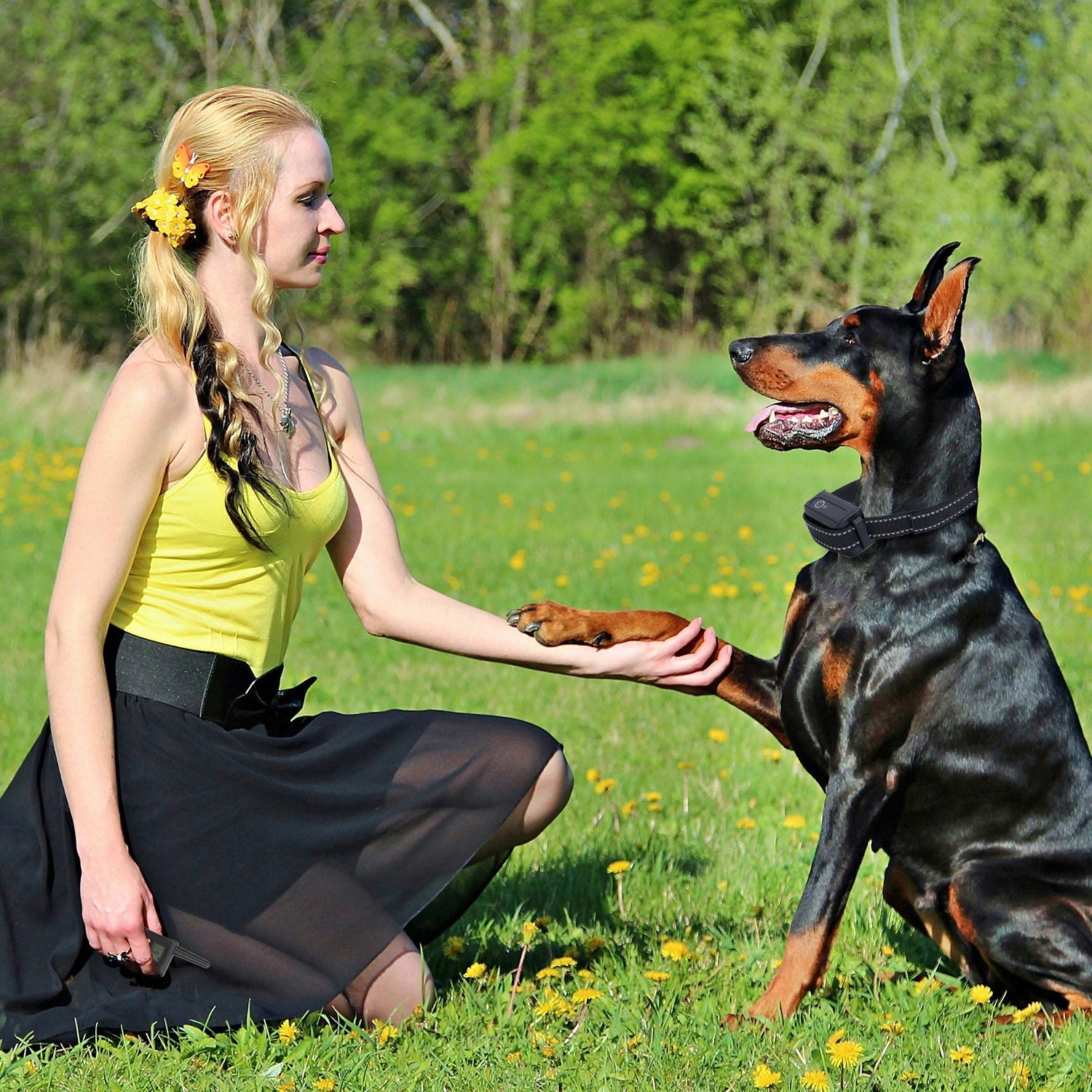 Dog Training Collar IPX7 Waterproof Pet Beep Vibration Electric Shock Collar Rechargeable Transmitter Receiver Trainer w/ Remote