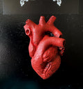 Anatomical Heart Magnet, Hand Painted Resin Sculpture | Gothic Fantasy Decor | Heart Magnet for Fantasy and Gothic Decor