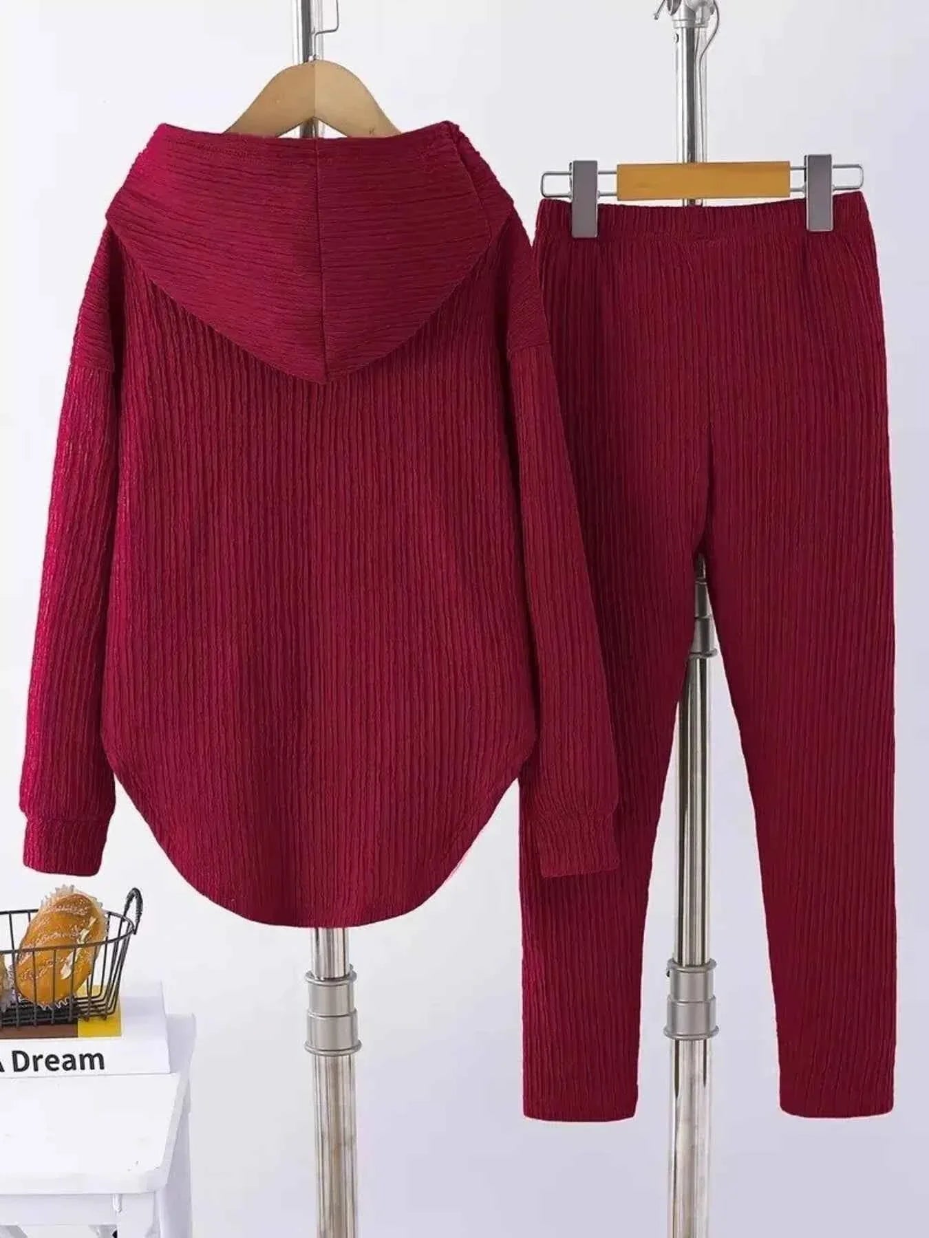 Textured Long Sleeve Hoodie and Pants Set