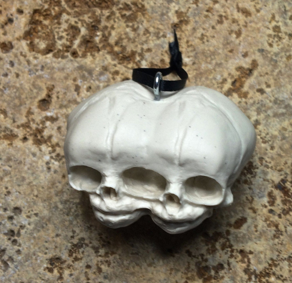 Conjoined Twins Fetal Skull Ornament, Resin Sculpture | Gothic Fantasy Skull Figurine |Conjoined Skull Ornament for Fantasy and Gothic Decor