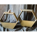 Gold Metal Planter Hexagon Hanging Planter