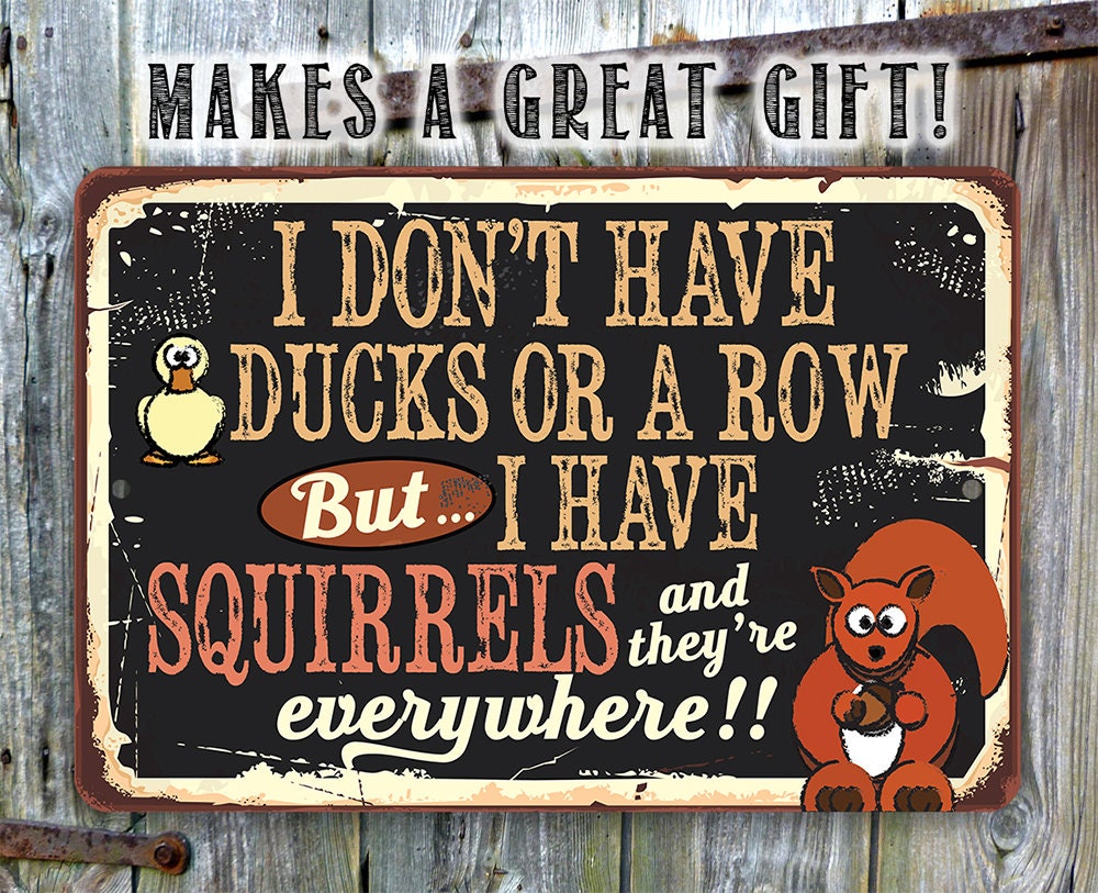 I Don't Have Ducks or a Row But I Have Squirrels - Metal Sign