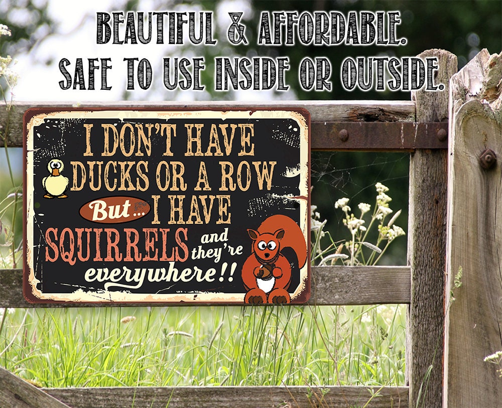 I Don't Have Ducks or a Row But I Have Squirrels - Metal Sign