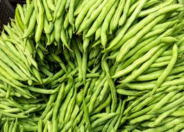Provider Green Bush Bean 5 Gram Seeds For Planting - Heirloom Non-GMO Variety - High-Yield, Fast-Growing Beans for Garden Beds & Containers