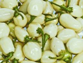White Habanero Pepper Seeds | Heirloom, Non-GMO | 3 ft Tall Plants | 250,000-500,000 Scoville |  | 100 Days to Maturity