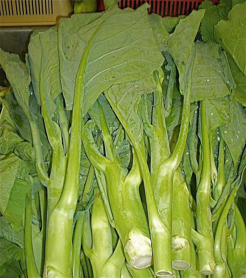 125 Kailaan Chinese Broccoli Seeds - Heirloom Gai Lan - Kai Lan - Asian Greens - Chinese Kale - Fast-Growing Leafy Veg