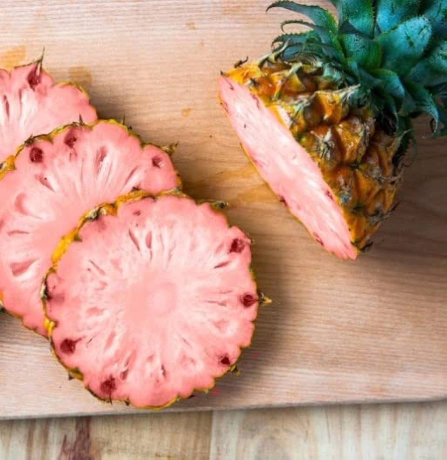 Pinkglow Pineapple Seeds - 15 Rare Tropical Seeds - USA Grown -  - Exotic Fruit Plant - Sweet Pink Flesh - Home Garden