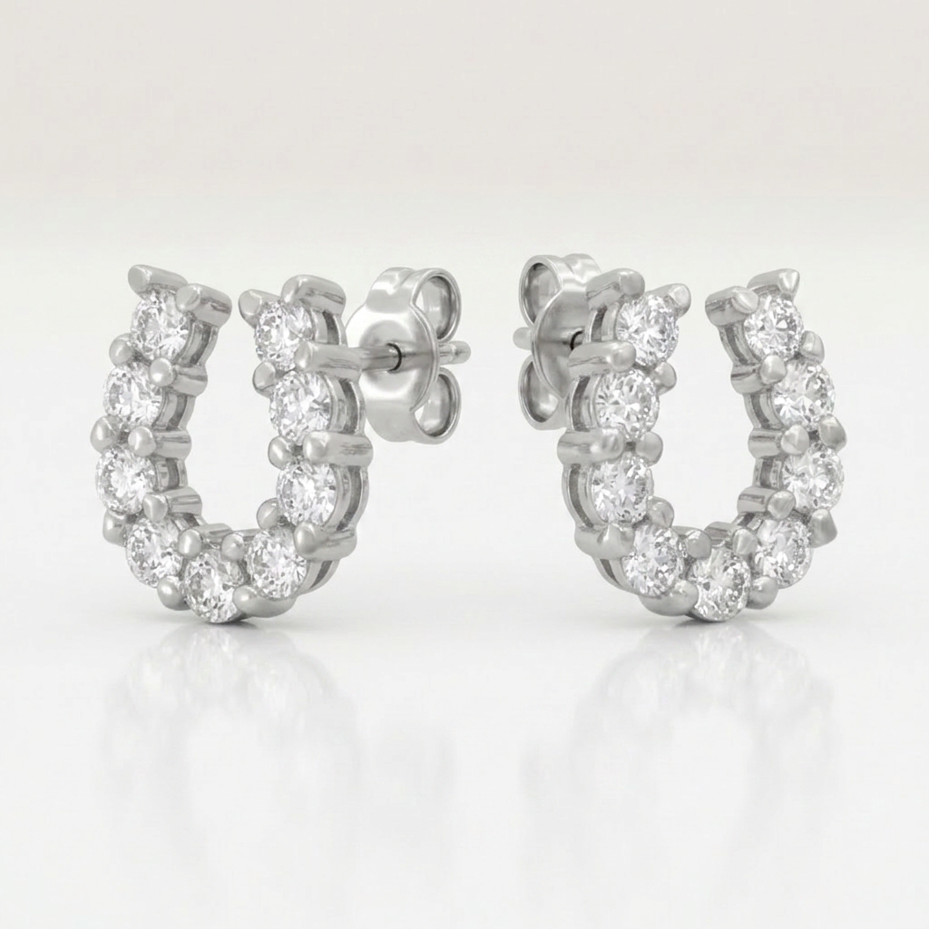 Lucky Horseshoe Earring Set