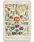 Legumes - Metal Sign