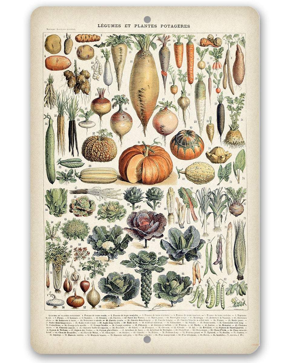 Legumes - Metal Sign
