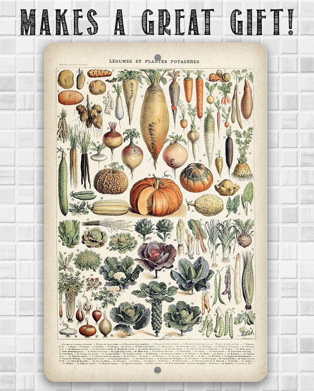 Legumes - Metal Sign