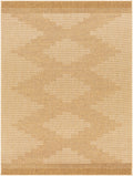 Colum Flatweave Faux Jute Outdoor Rug