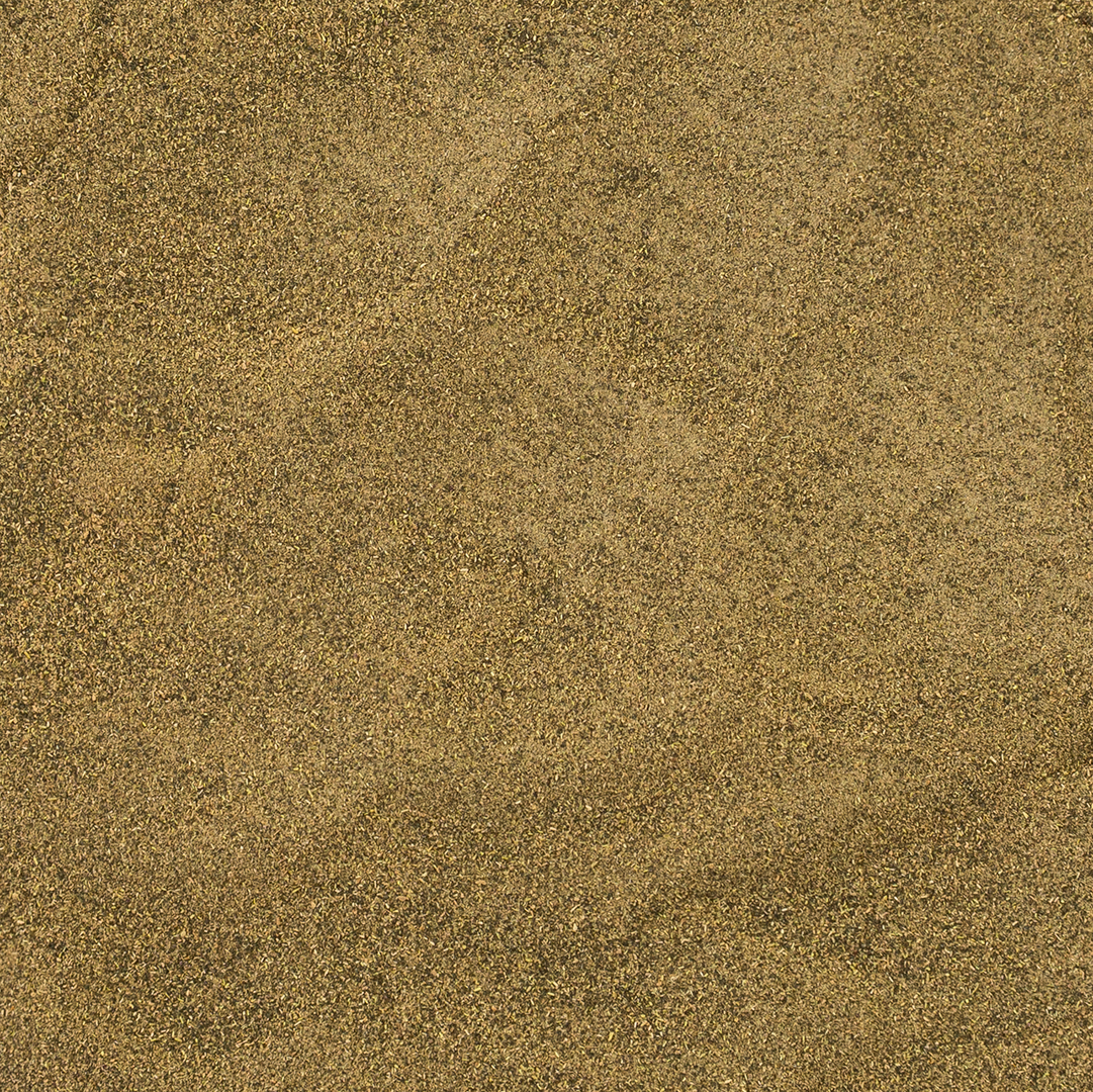 Sea Asparagus (Salt Substitute)
